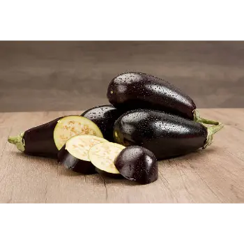 Natural Brinjal 